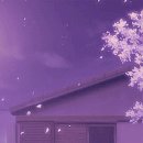 도림스토리 이미지