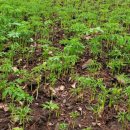 심원농장 이미지