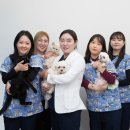 베스트프렌즈 동물병원 이미지