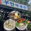 부안막국수 | 춘천여행 현지인 추천 맛집 부안막국수 솔직후기