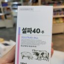 설파약국 이미지