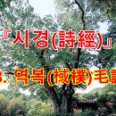 백유