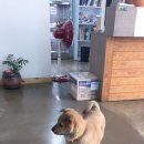 황우농장 이미지