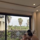 덕수서로 | 제주도 가족여행 감성숙소 자쿠지 독채 펜션 숙소 추천 일일시호일 제주