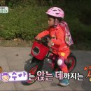 타요바이크