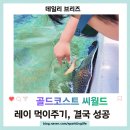 (주)골드호텔 | 골드코스트 씨월드 후기, 705번 버스로 편하게 다녀온 하루
