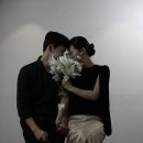 맨디데이즈