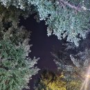 지에스25 청와드림점 이미지