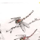 수묵화(기초) 이미지