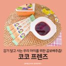 코코프렌즈 이미지