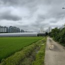 호국로 627번길 이미지