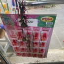 전광문구사