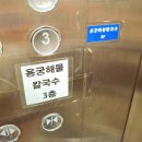 용궁 | 세종 소담동 칼국수 맛집 용궁해물칼국수 솔직후기