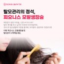 페르레이 이미지