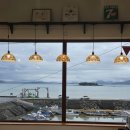 플로리다 봉봉 이미지