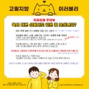 사쿠라 코스프레 풀세트 - 의상 교복 원피스 양말 고열사 가발 4개 (가발망 포함) 가슴 장식 브로치...