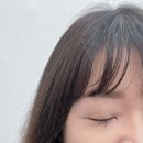한올, 그리다 이미지