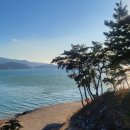 하늘빛소나무펜션 이미지