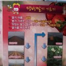 재구농장 이미지