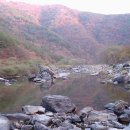산울림 농장 Daum카페