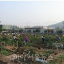 한강가족농장 이미지