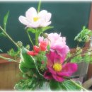 동양꽃꽂이 이미지