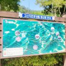 고산자연휴양림 관리사무소 | [전주 근교] 완주 고산자연휴양림, 아이랑 계곡 물놀이!(숲속의집 212호, 214호)