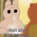하누리투어 - 포항시 북구 양학로9번길 8 | 하누리투어
