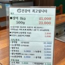 섭장어 이미지