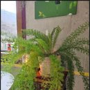 (Nurida)누리다 이미지