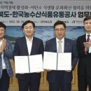 양을유통