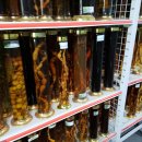 황토농장 이미지