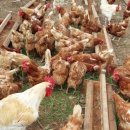 건강농장 이미지