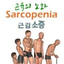 휘트니스더레이 이미지