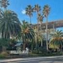 위드세화민박 | 제주도 아이랑 여행준비 | 독채펜션 숙소 알아보기 &lt;세화, 구좌 동쪽 숙소 정리편&gt;