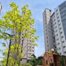 길빛 작은도서관 이미지