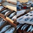 외포등대횟집 이미지