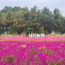 초록빛 농원