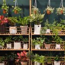 노란뜰 | [군산꽃집 꽃뜰] 수능 꽃선물, 향기로운 생화와 감성 인테리어, 선물하기 좋은 플라워샵