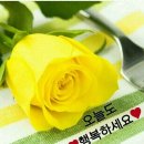 오늘도 이미지