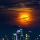 사)대한장애인바둑협회 이미지