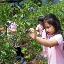 목행초교 병설유치원 이미지