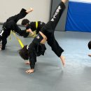 특무관 합기도 이미지