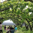 다솜목장 이미지