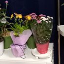 영진오리농장 이미지