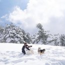 풀내음목장 이미지