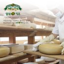 임실N숙성실 이미지