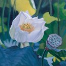 오늘의 포토 뉴스 (7월 1일) 이미지