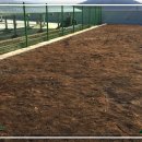 배곧고등학교 이미지