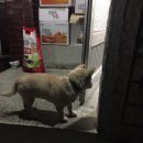 부사네거리 이미지